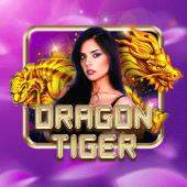 Dragon Tiger Arena Plus Online live casino